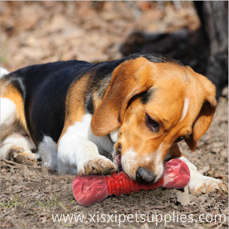 Pet dog toy nylon rubber bone interactive gnawing rubber chew toy